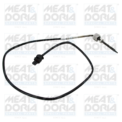 Sensor, exhaust gas temperature